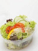 Blattsalat mit Paprika, Gurken und Sprossen in Plastikschale