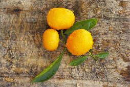 Ornamental oranges with leaves on wooden background