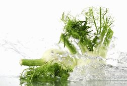 Fennel bulbs with splashing water