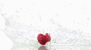 Raspberry with splashing water