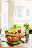 Bread, cheese, vegetables and herbs in the kitchen