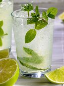 Mojito with fresh mint