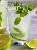 Mojito mit frischer Minze