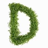 The letter D in cress