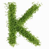 The letter K in cress