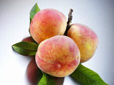 Yellow Florentine peaches with leaves