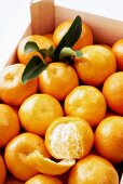 Mandarinen in Steige