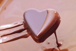Heart-shaped chocolate on fork, dipped in chocolate sauce