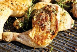 Chicken leg with rosemary on barbecue