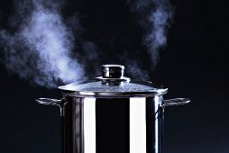 Steaming cooking pot, close-up