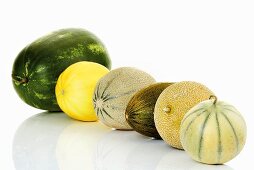 Various types of melons