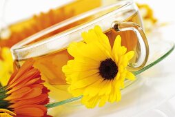 Marigold tea in glass cup, marigolds