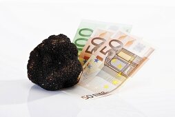 Euro notes and black truffle