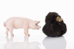 Pig figurine and black truffle