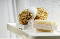 Nailbrush and sponge in bathroom