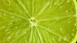 A slice of lime (close up)