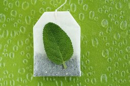 Tea bag and sage leaf, close-up
