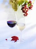Glass of white wine, glass of red wine, autumn leaf & grapes