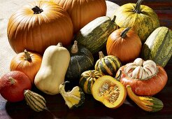 Squash and pumpkin still life