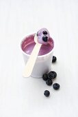 Blueberry yoghurt in plastic pot with wooden spoon