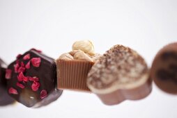 Row of assorted chocolates (close-up)