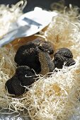 Black truffles on wood wool