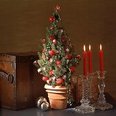 Kleiner Weihnachtsbaum im Blumentopf, Glaskerzenständer