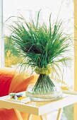 Arrangement aus Carexgräsern in mit Wasser + Kiesel gefüllter Glasschale