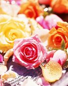 Rosa, gelbe und orangefarbene Rosen mit Wassertropfen