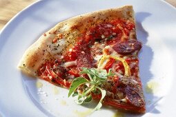 Stück Pizza mit Paprika und Salami 