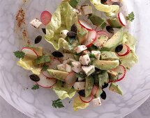 Avocado-Radieschen-Salat mit Kerbel Dressing