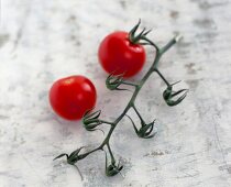 Strauchtomaten, roh, auf neutralem Untergrund liegend