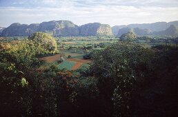 Das Tal von Vinales, grüne Gärten, Berge im Hintergrund