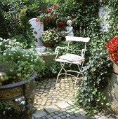 Gartenbrunnen,umrangt von Efeu. Kirschlorbeer und Berberitzen.