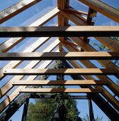 Holzkonstruktion des Satteldaches aus Glas mit Lüftungsklappen
