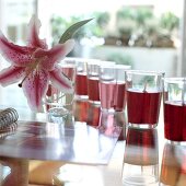Small glasses with red gel candles in a row with flower on table