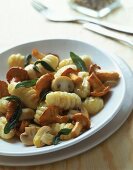 Gnocchi mit Pfifferlingen, Champignons, Salbei