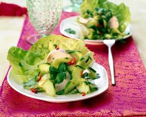 Salat mit Huhnstreifen,Gurken,roter Paprika,Salatblätter,Limettensoße
