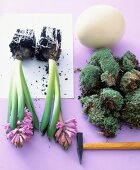 Ostrich egg, hyacinths, moss and harmer, overhead view