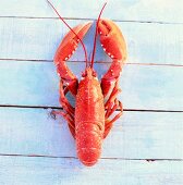 Lobster on wooden table, overhead view