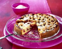 Plum cake with icing sugar on glass plate