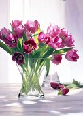 Bouquet of violet coloured flower in glass vase