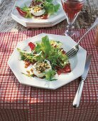 French salad and goat cream cheese on white plate with wine in goblet