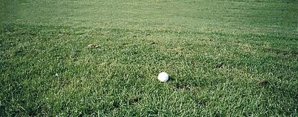 Poloball auf einem Spielfeld, Rasen 