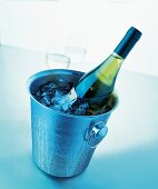 Flasche im Champagner - Kübel Freisteller, Studio