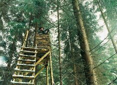 Förster auf Hochstand im Wald auf Gut Hohenhaus Thüringen