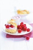 Profiteroles with raspberries on plate