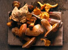 Mix mushrooms with chanterelle mushrooms and chestnuts