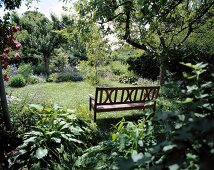 Bench in garden surrounded with trees and plants