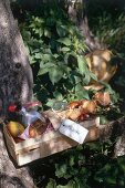 Food in basket for picnic under a tree